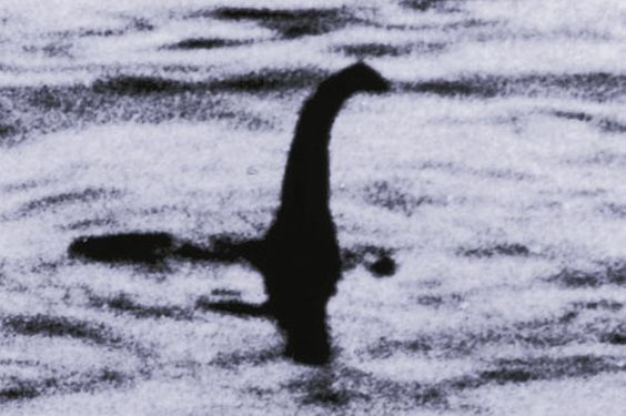Loch Ness Monster Mania | Gallery